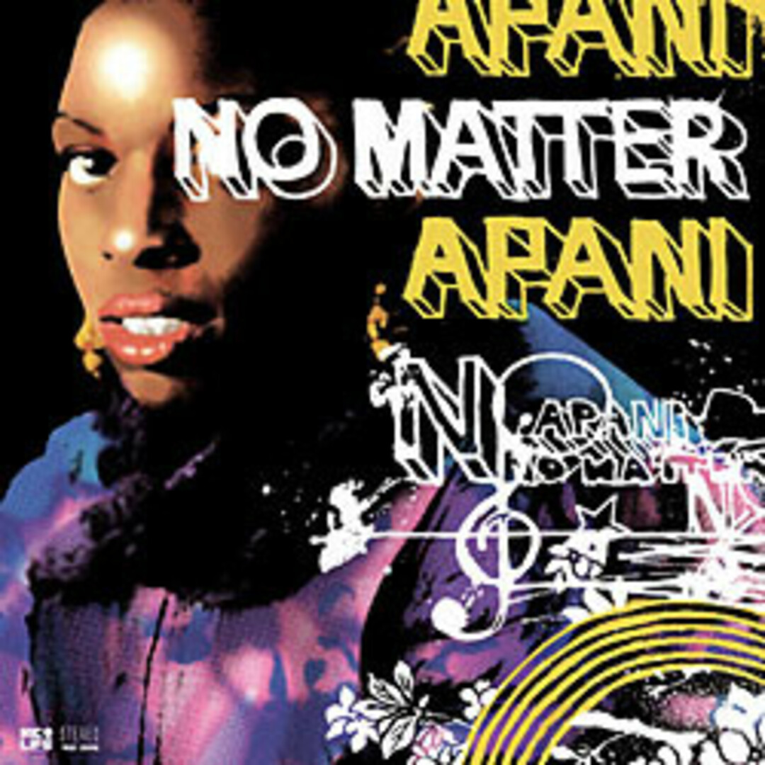 12" Apani B. Fly No Matter MLR2006 Miclife Recordings /00250 エンタメ/ホビーのエンタメ その他(その他)の商品写真