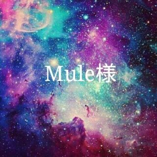 Mule様専用(オーダーメイド)