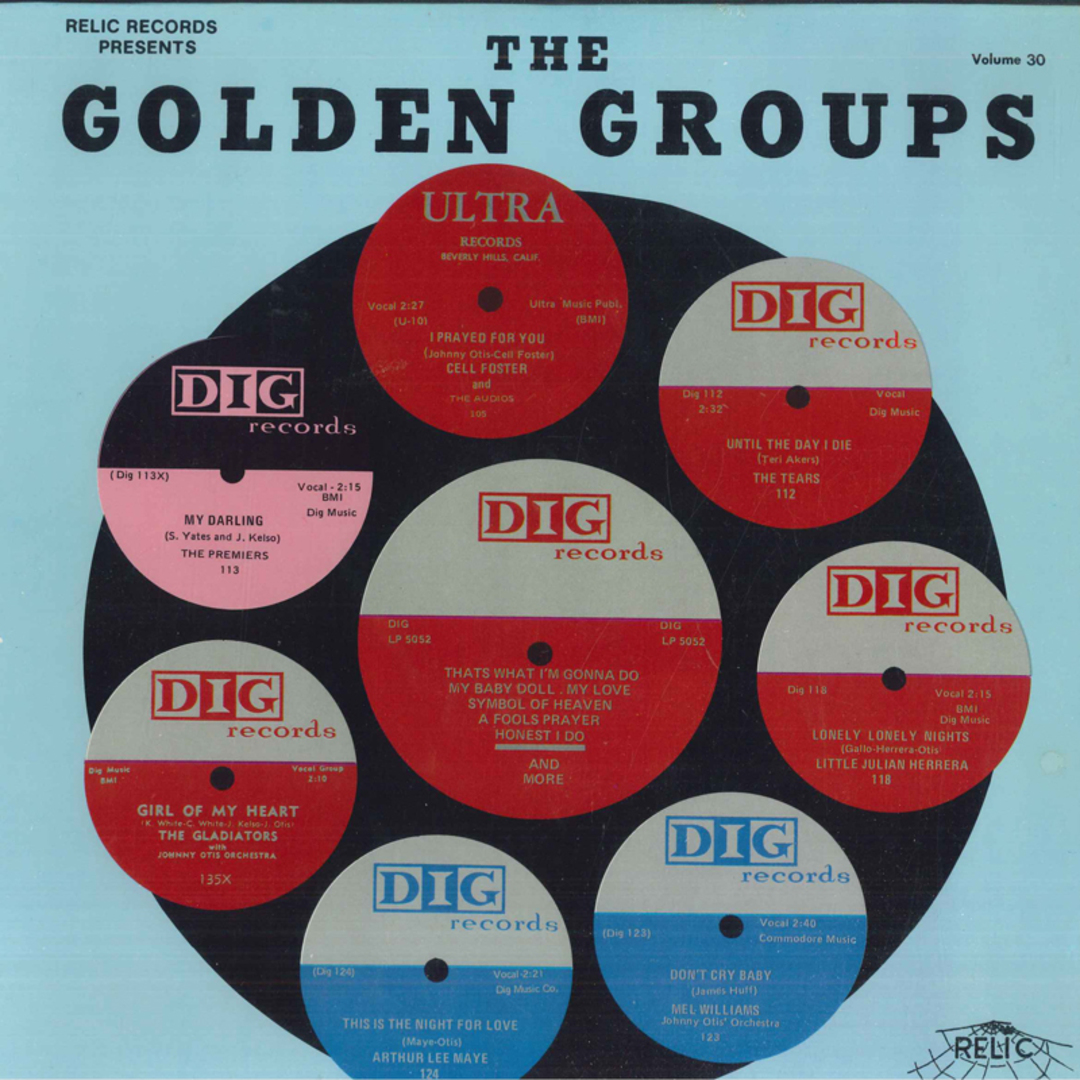 米LP Various The Best Of Dig Records VOLUME30 Relic (2) /00260 エンタメ/ホビーのエンタメ その他(その他)の商品写真