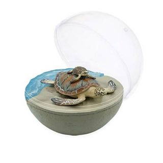 【アオウミガメ】カプリウムコレクション海洋生物(その他)