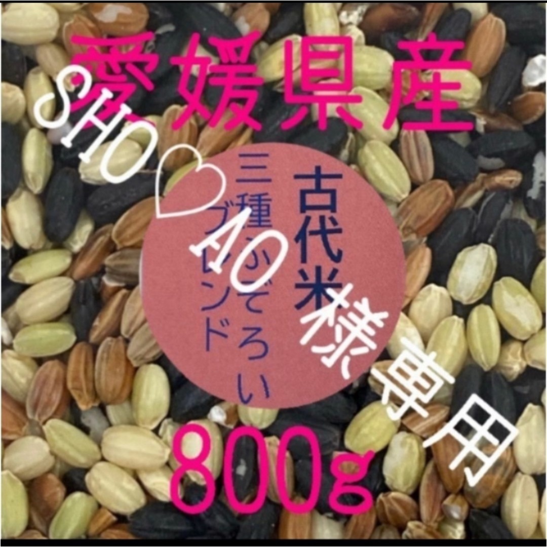 SHO♡AO　古代米3種ふぞろいブレンド　愛媛県産　800ｇ