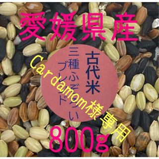 Cardamom様専用　古代米3種ふぞろいブレンド　愛媛県産　800ｇ(米/穀物)