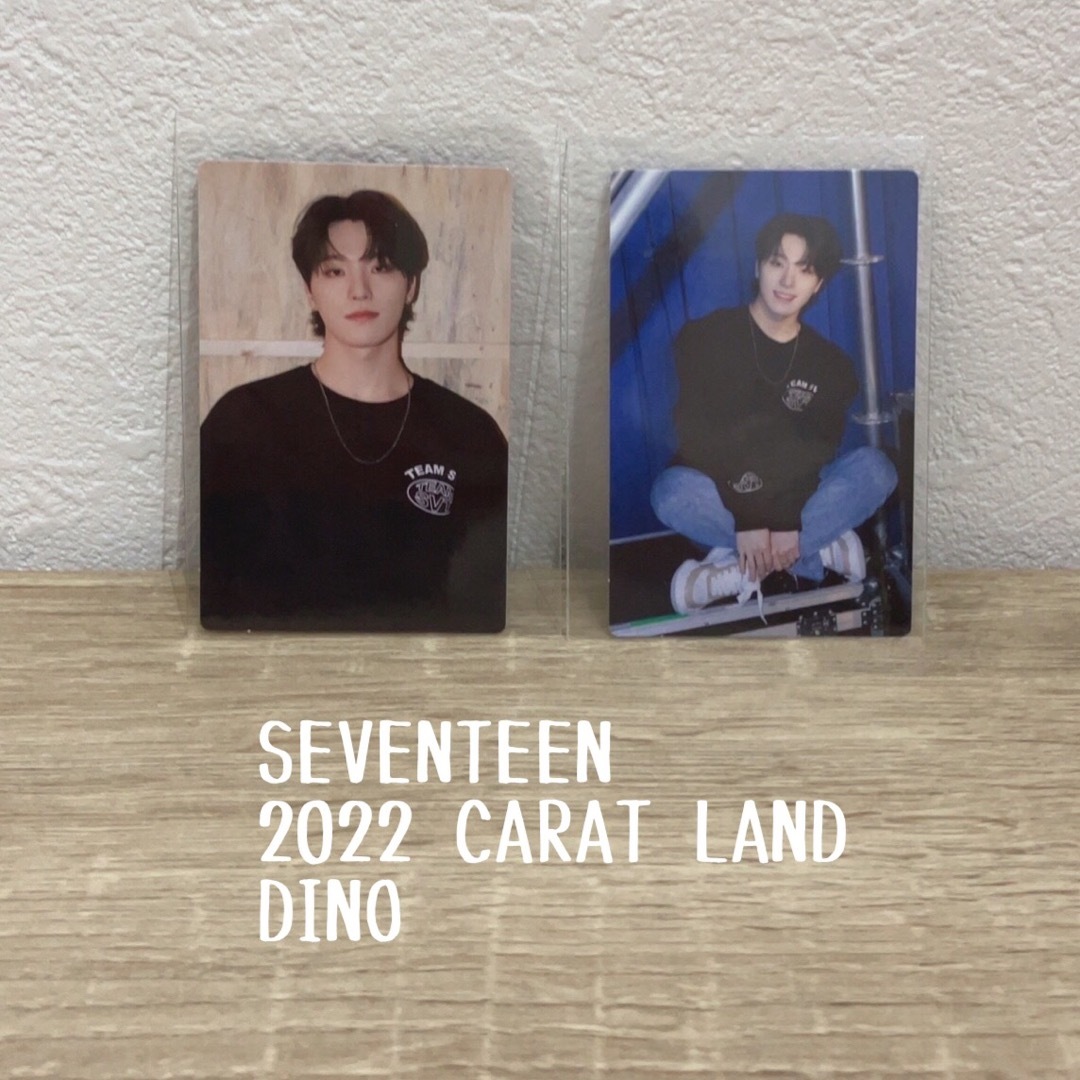 SEVENTEEN 2022 CARAT LAND DINO エンタメ/ホビーのCD(K-POP/アジア)の商品写真