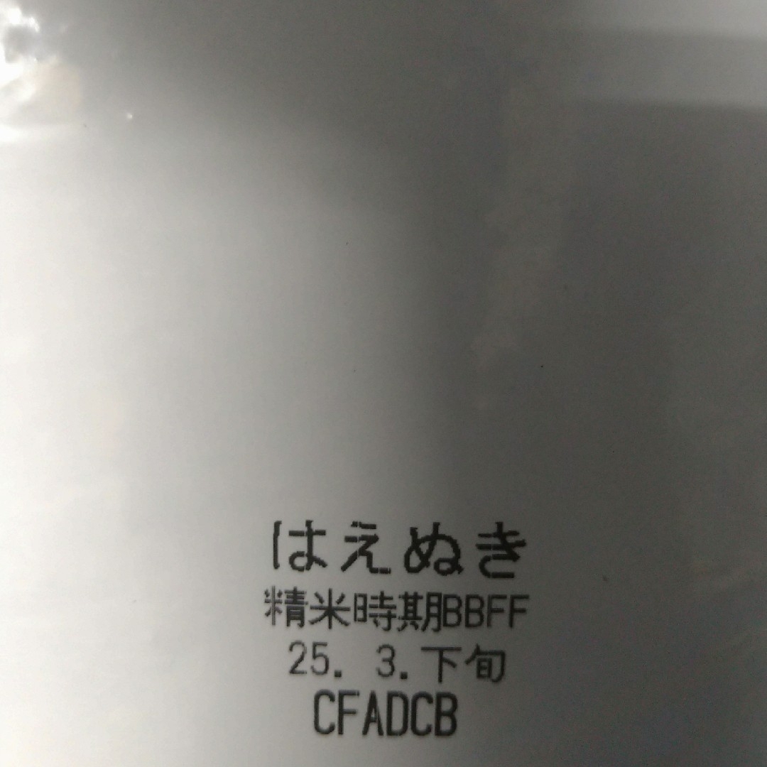 山形産はえぬき