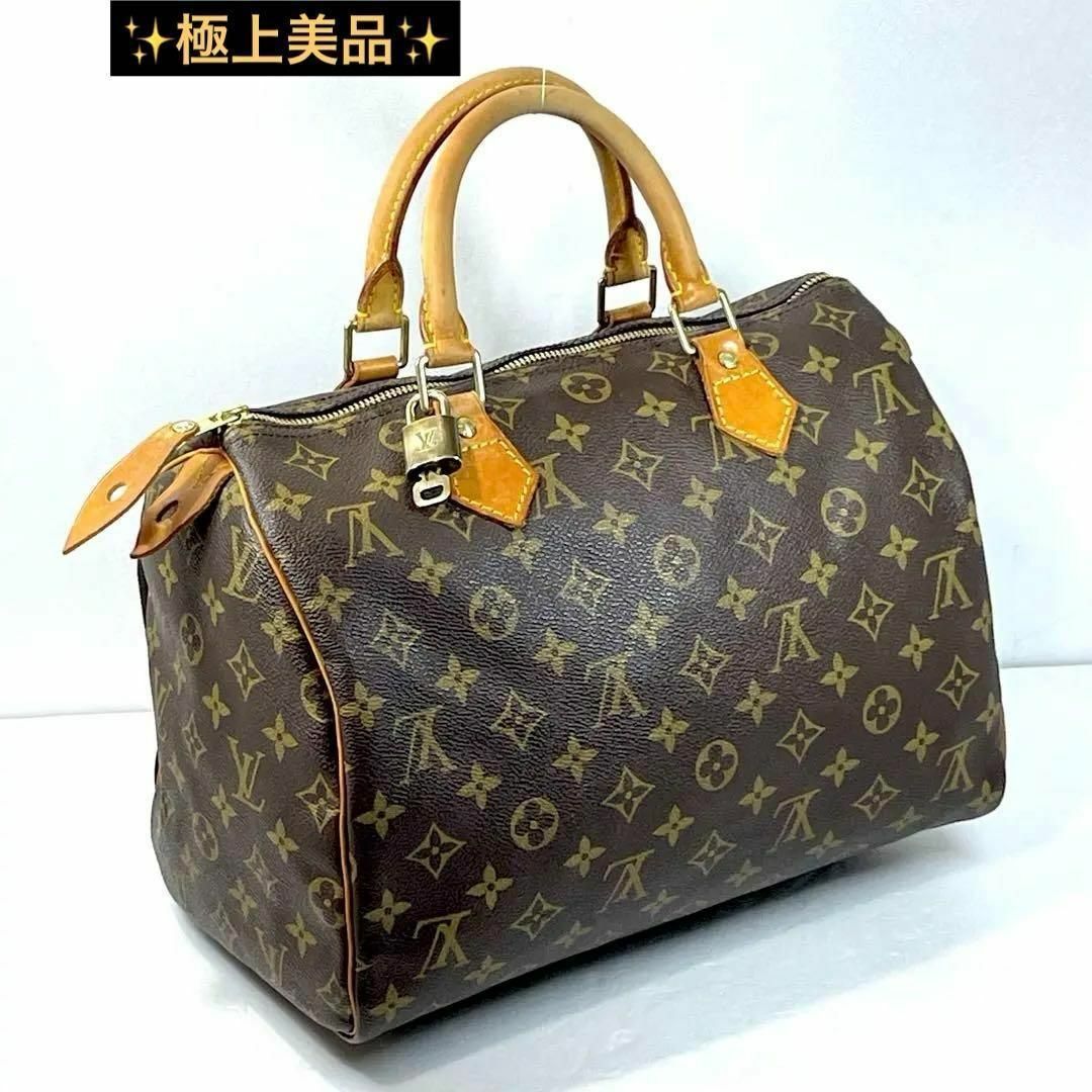 LOUIS VUITTON - ✨状態良好❗️極上美品✨ルイヴィトン LOUIS VUITTON - ✨状態良好❗️極上美品✨ルイヴィトン