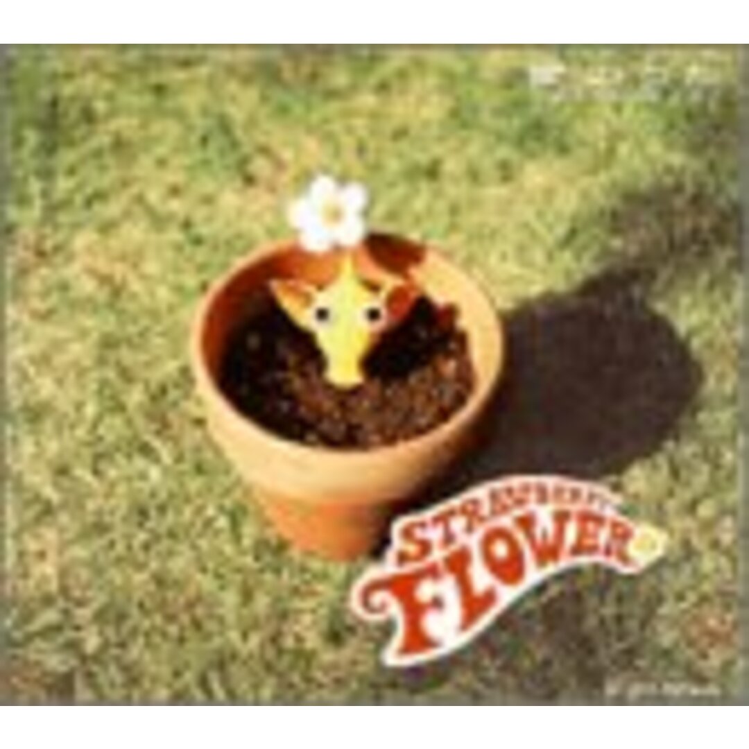 (CD)愛のうた~ピクミンのテーマ/ストロベリー・フラワー エンタメ/ホビーのCD(ポップス/ロック(邦楽))の商品写真