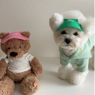 ペット帽子 犬帽子 ペットキャップ グリーン 緑 みどり 韓国(犬)