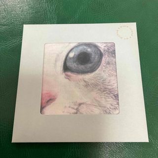 ヒグチユウコ　ハンカチ　猫　韓国展(キャラクターグッズ)