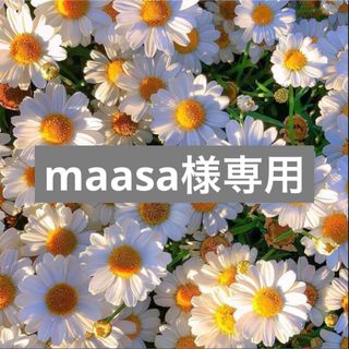 ベルタ6袋(その他)