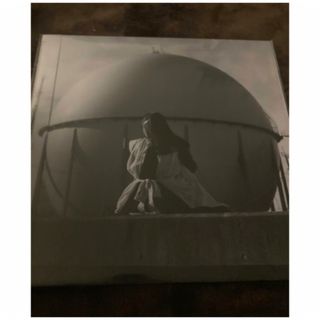 カネコアヤノ タオルケットは穏やかな レコード LP アナログ アナログ盤(ポップス/ロック(邦楽))