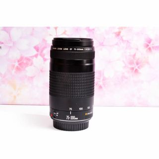 キヤノン(Canon)の❤️新品級❤️300mm超望遠レンズ❤️ CANON EF 75-300mm(レンズ(ズーム))