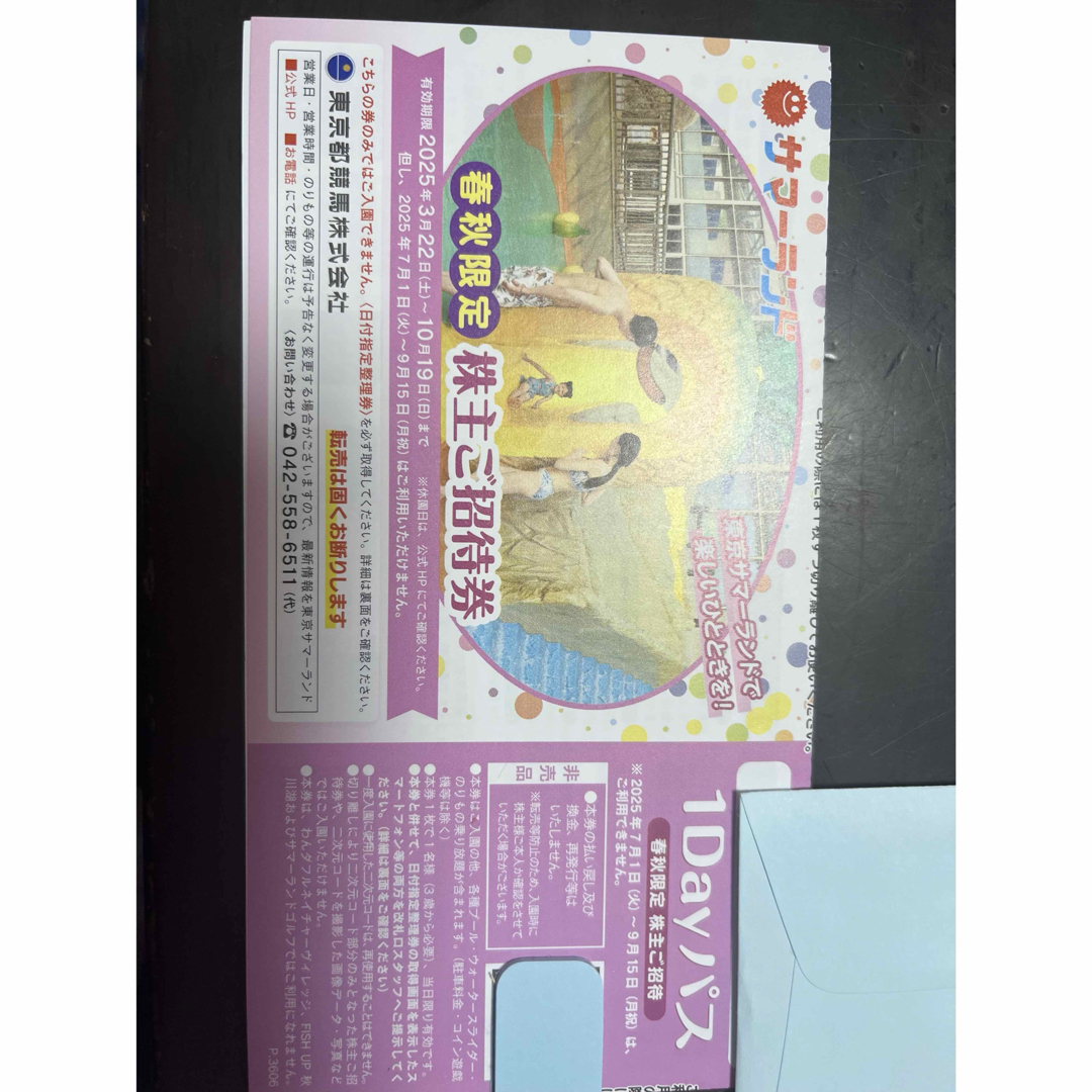 2枚 東京都競馬 株主優待券 東京サマーランド 1Dayパス チケットの施設利用券(遊園地/テーマパーク)の商品写真