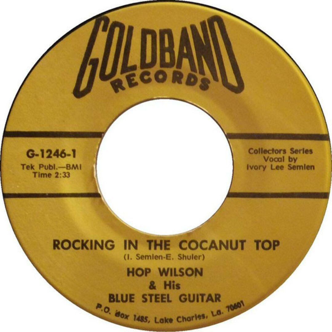 米7" Hop Wilson / Ivory Lee Semien Rocking In The Cocanut Top / Fuss Too Much G1246 Goldband Records /00080 エンタメ/ホビーのエンタメ その他(その他)の商品写真