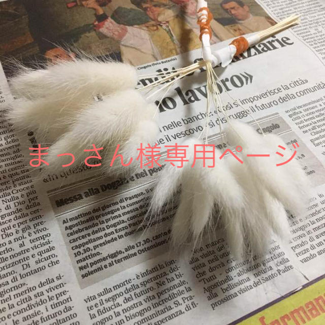 プロフ先読まっさん様専用ページ ハンドメイドのフラワー/ガーデン(ドライフラワー)の商品写真