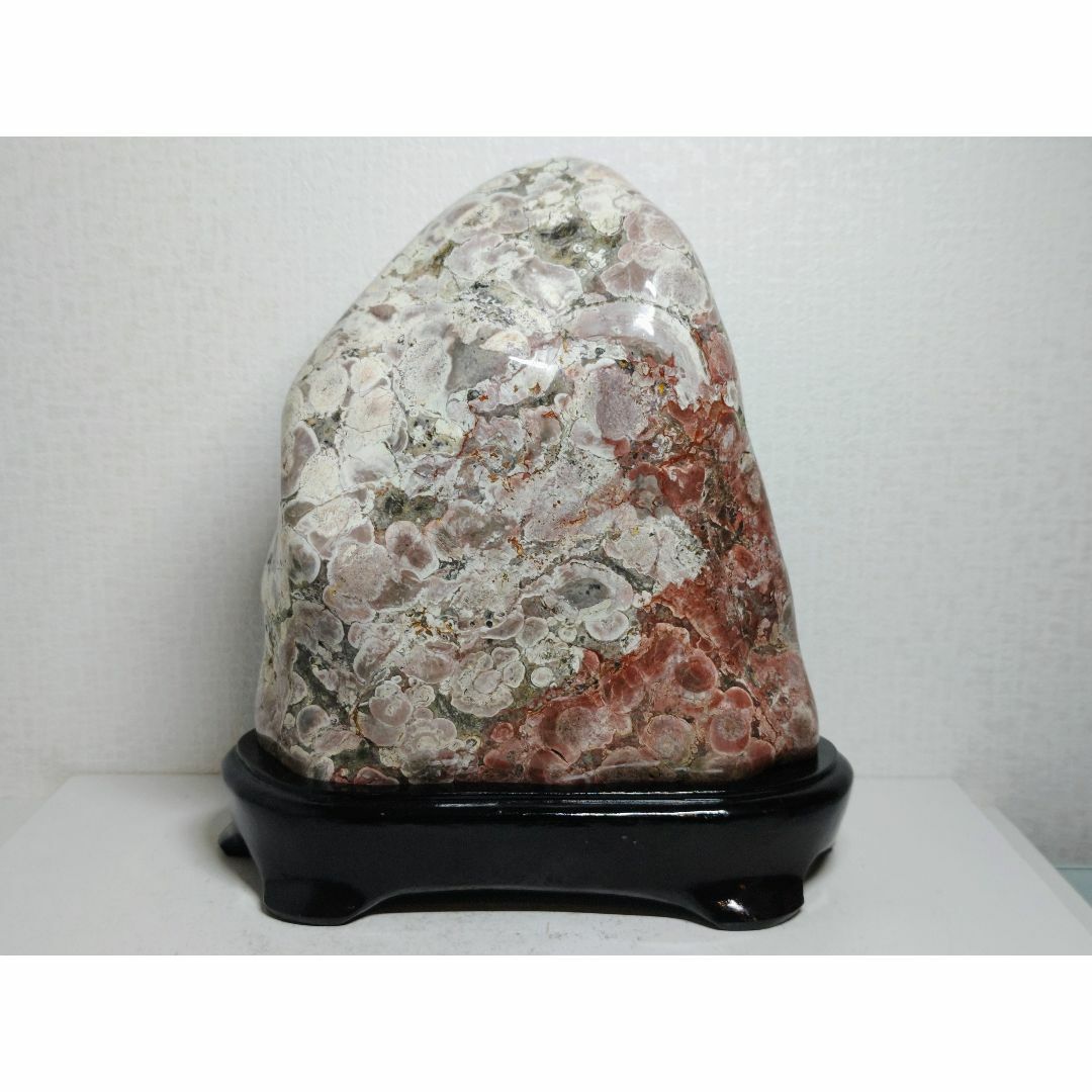 梅花石 6.8kg 紋石 越前紋石 花紋石 菊花石 原石 鑑賞石 自然石 水石