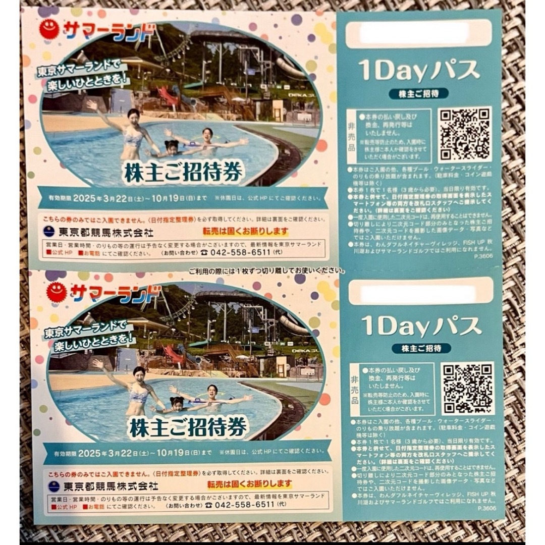 東京サマーランド 株主優待券 1Dayパス 2枚 チケットの施設利用券(遊園地/テーマパーク)の商品写真