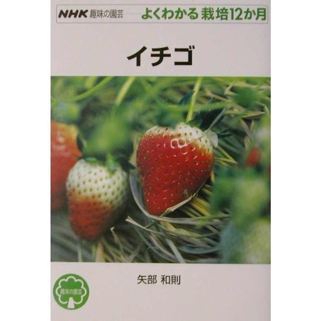イチゴ /NHK出版/矢部和則(単行本(ソフトカバー)) エンタメ/ホビーの本(住まい/暮らし/子育て)の商品写真