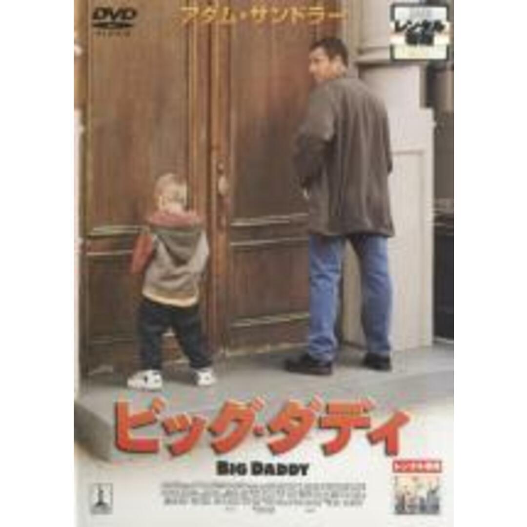 【中古】DVD▼【訳あり】ビッグ・ダディ ※ディスクのみ レンタル落ち エンタメ/ホビーのDVD/ブルーレイ(外国映画)の商品写真