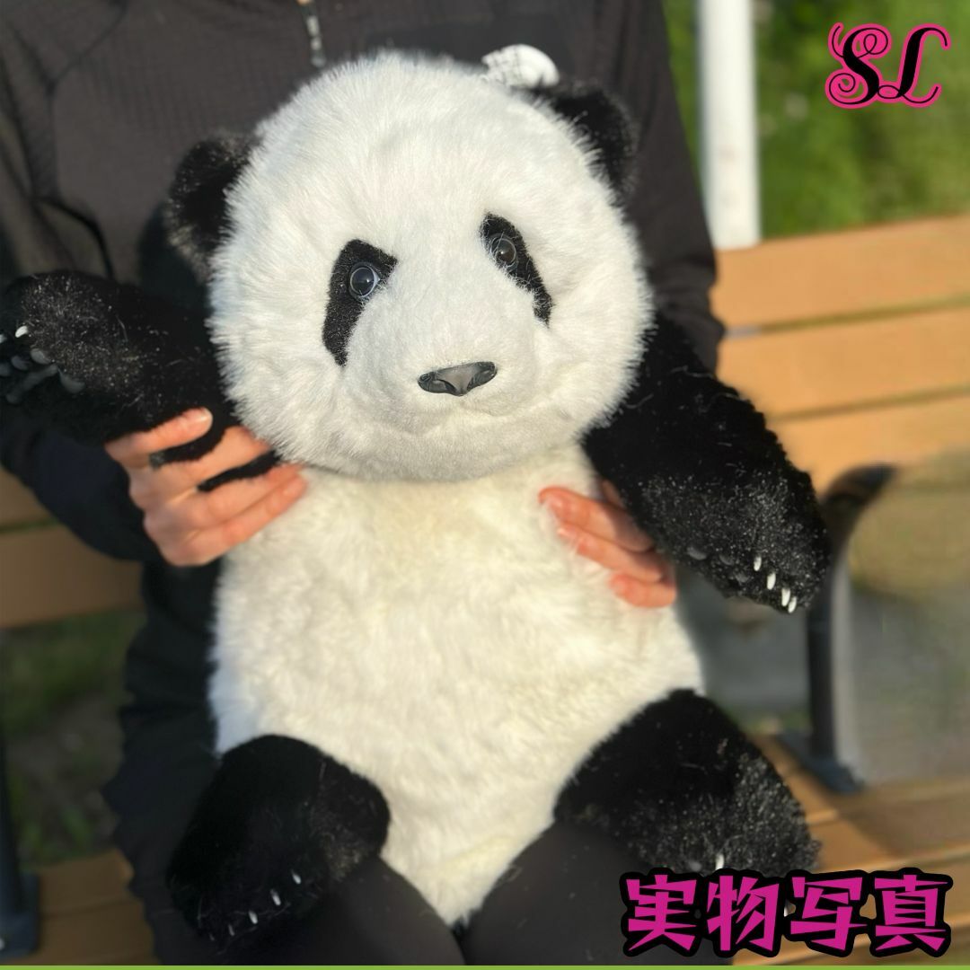 5ヶ月齢の赤ちゃんリアルパンダ！人気急上昇中のアイテムがついに登場 panda