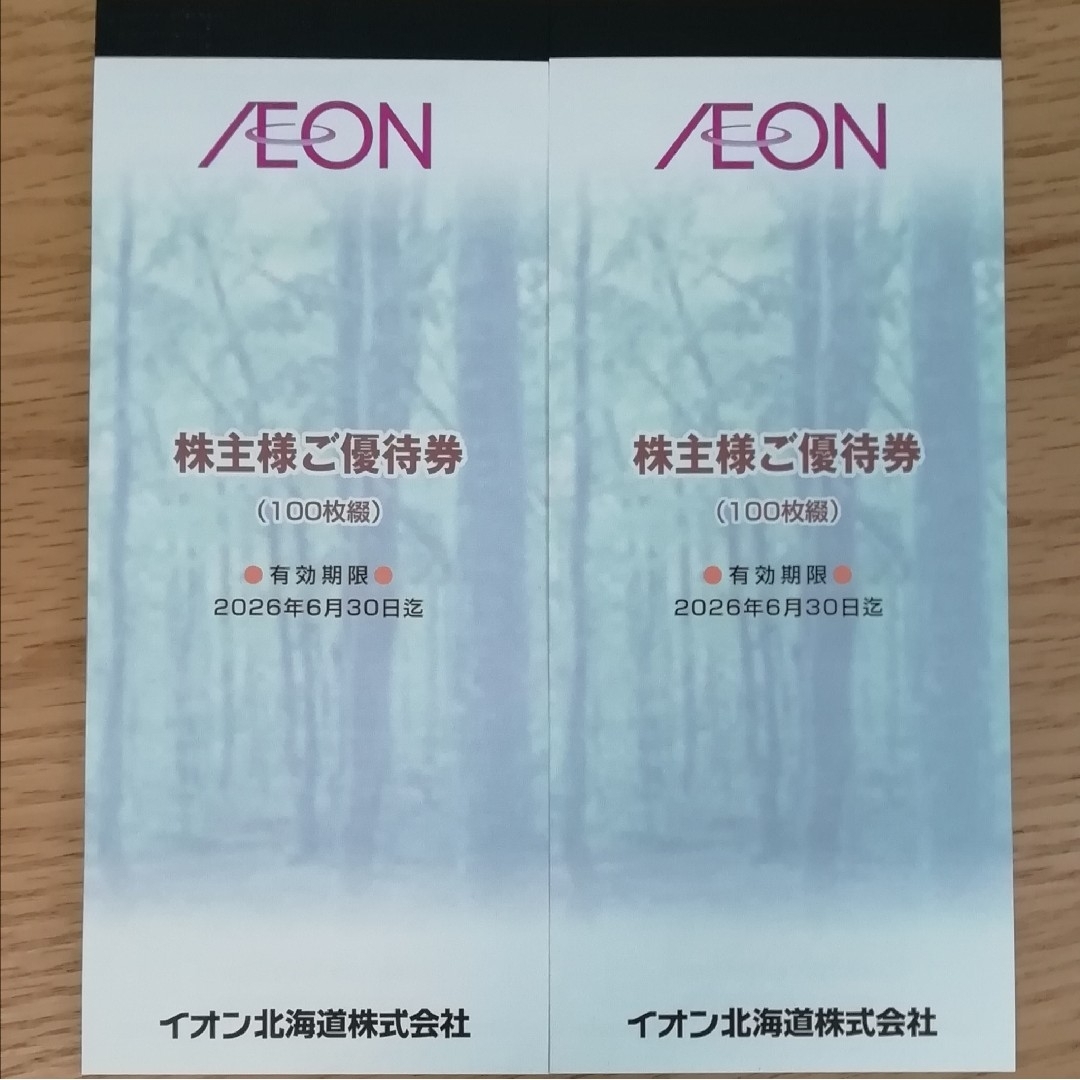 イオン北海道 株主優待 20000円分 チケットの優待券/割引券(その他)の商品写真