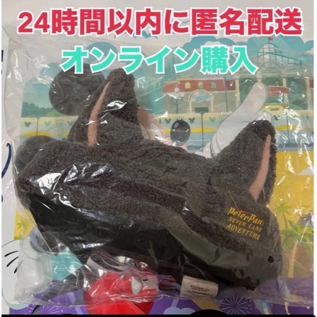 Disney - 【オンライン購入】ロストキッズ♡キャップ アライグマ ツインズ♡FS