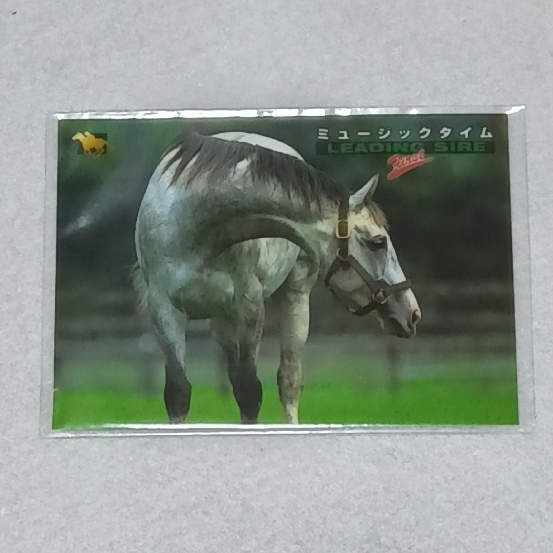 ミュージックタイム 競馬 キャラクターカード サラブレッド トレーディングカード エンタメ/ホビーのトレーディングカード(その他)の商品写真