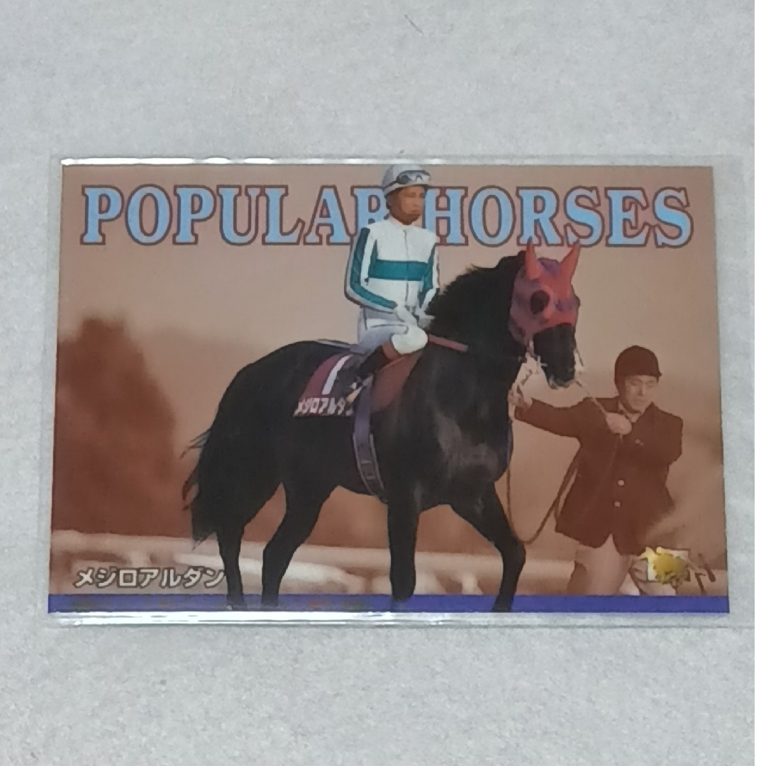 メジロアルダン 競馬 キャラクターカード サラブレッド トレーディングカード エンタメ/ホビーのトレーディングカード(その他)の商品写真