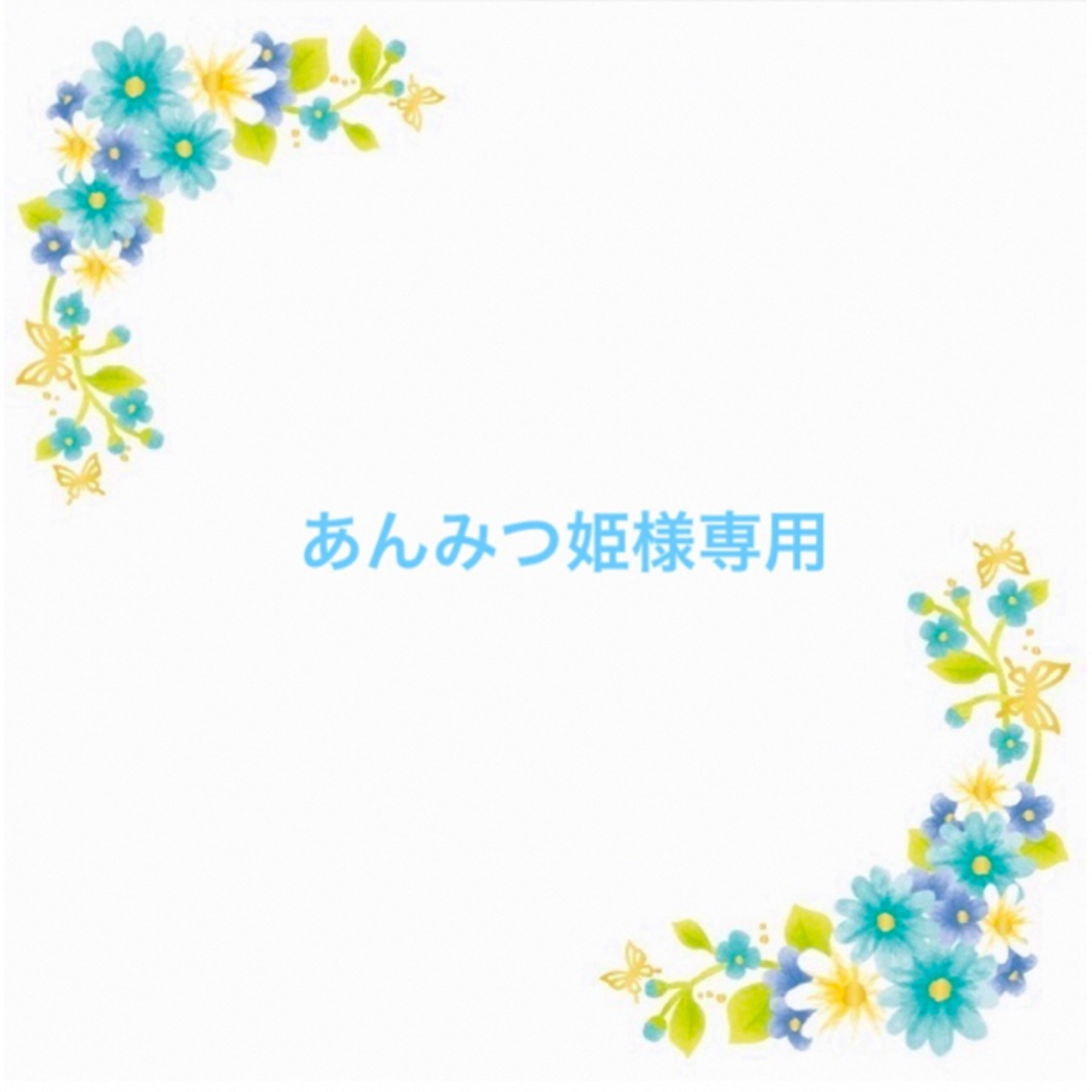 あんみつ姫様専用ページです♡ その他のその他(オーダーメイド)の商品写真