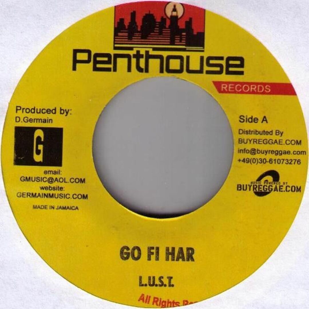 ジャマイカ7" L.U.S.T. / Duane Stephenson Go Fi Har / You Too Bad GP1243 Penthouse Records /00080 エンタメ/ホビーのエンタメ その他(その他)の商品写真