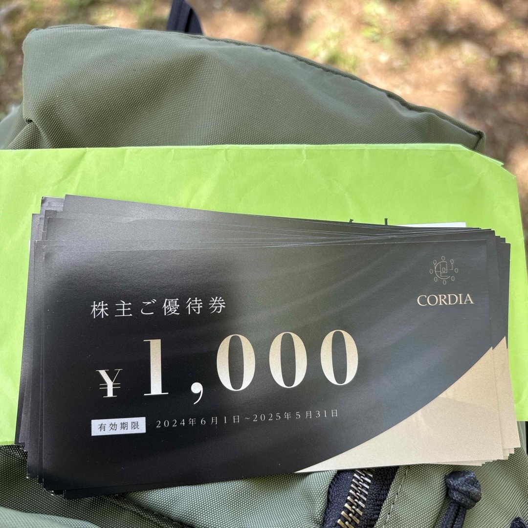 ワキタ株主優待34,000円分 チケットの優待券/割引券(宿泊券)の商品写真