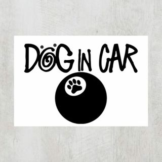 ステューシー(STUSSY)のS8【ドッグインカー/DOG IN CAR】マグネットステッカー(車外アクセサリ)