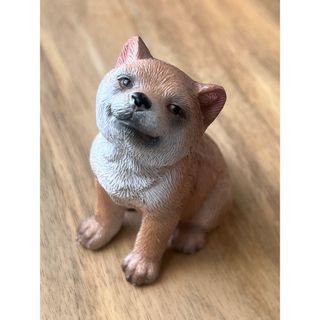 【新品】柴犬の置物(置物)