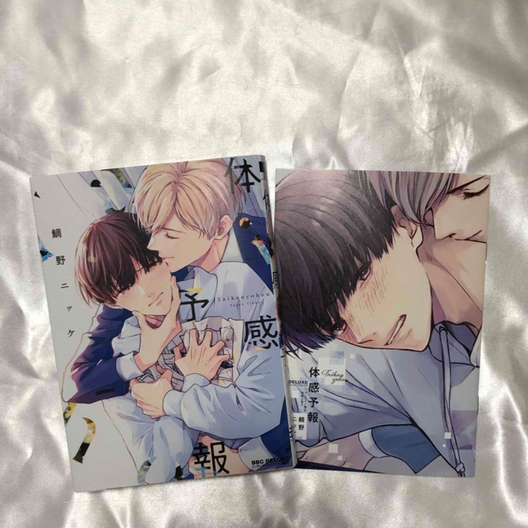 体感予報 エンタメ/ホビーの漫画(ボーイズラブ(BL))の商品写真