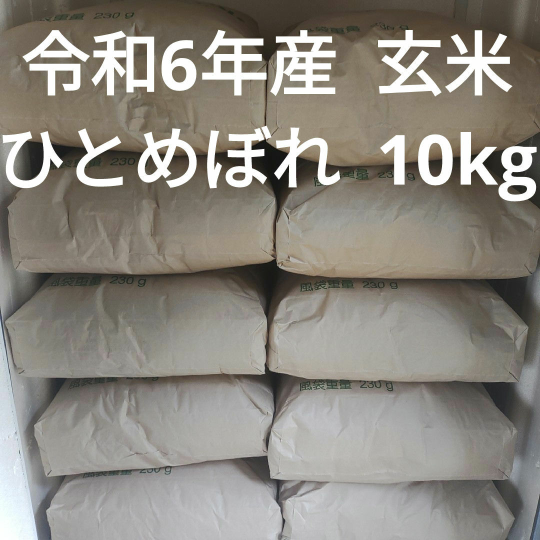 令和6年産 宮城 ひとめぼれ 玄米 10kg
