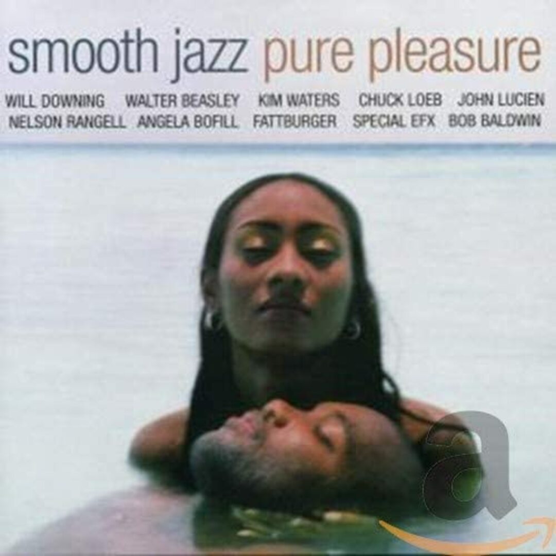 輸入CD Various Smooth Jazz: Pure Pleasure /00110 エンタメ/ホビーのCD(ジャズ)の商品写真