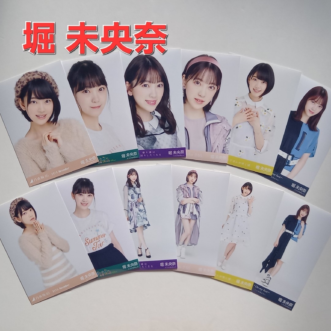 乃木坂46(ノギザカフォーティーシックス)の442. 堀 未央奈 まとめ生写真 セミコンプ12枚 エンタメ/ホビーのタレントグッズ(アイドルグッズ)の商品写真