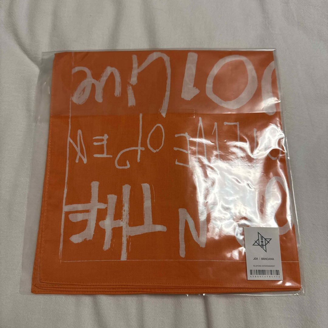 OPEN THE DOOR バンダナ エンタメ/ホビーのタレントグッズ(アイドルグッズ)の商品写真