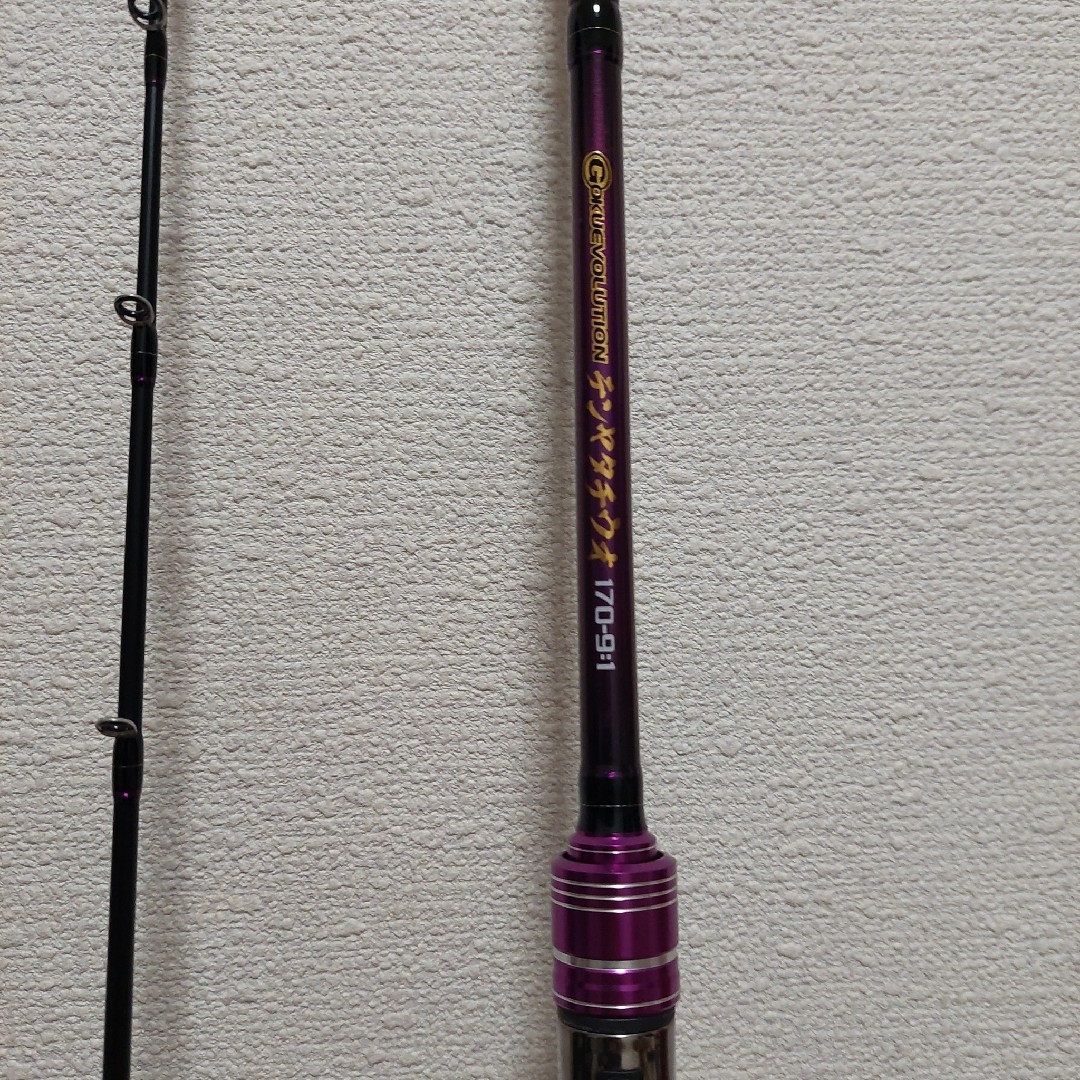 中古 GOKUSPE テンヤタチウオ 170-9:1 釣り竿の通販 by いるか's