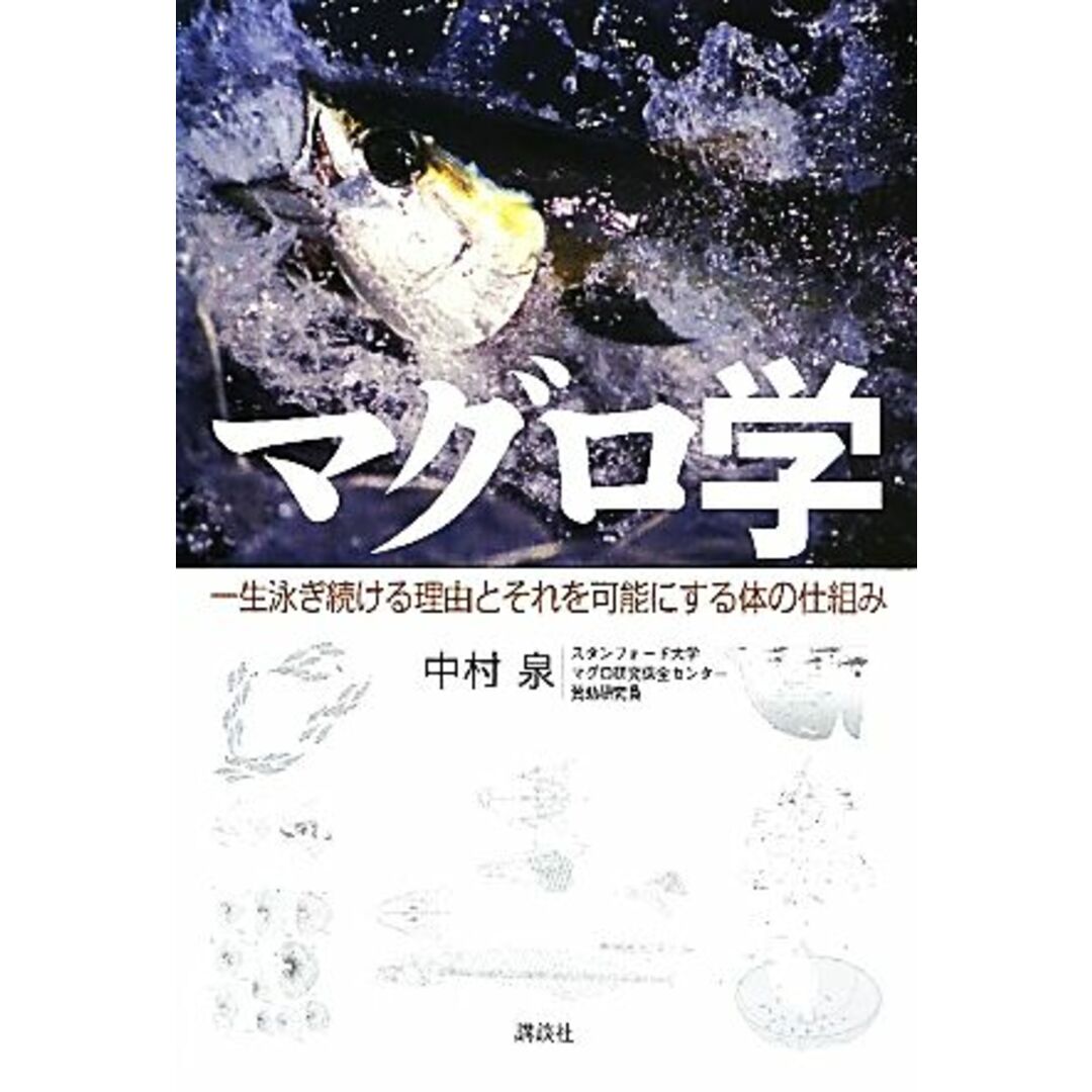 マグロ学 一生泳ぎ続ける理由とそれを可能にする体の仕組み/中村泉【著】 エンタメ/ホビーの本(ビジネス/経済)の商品写真