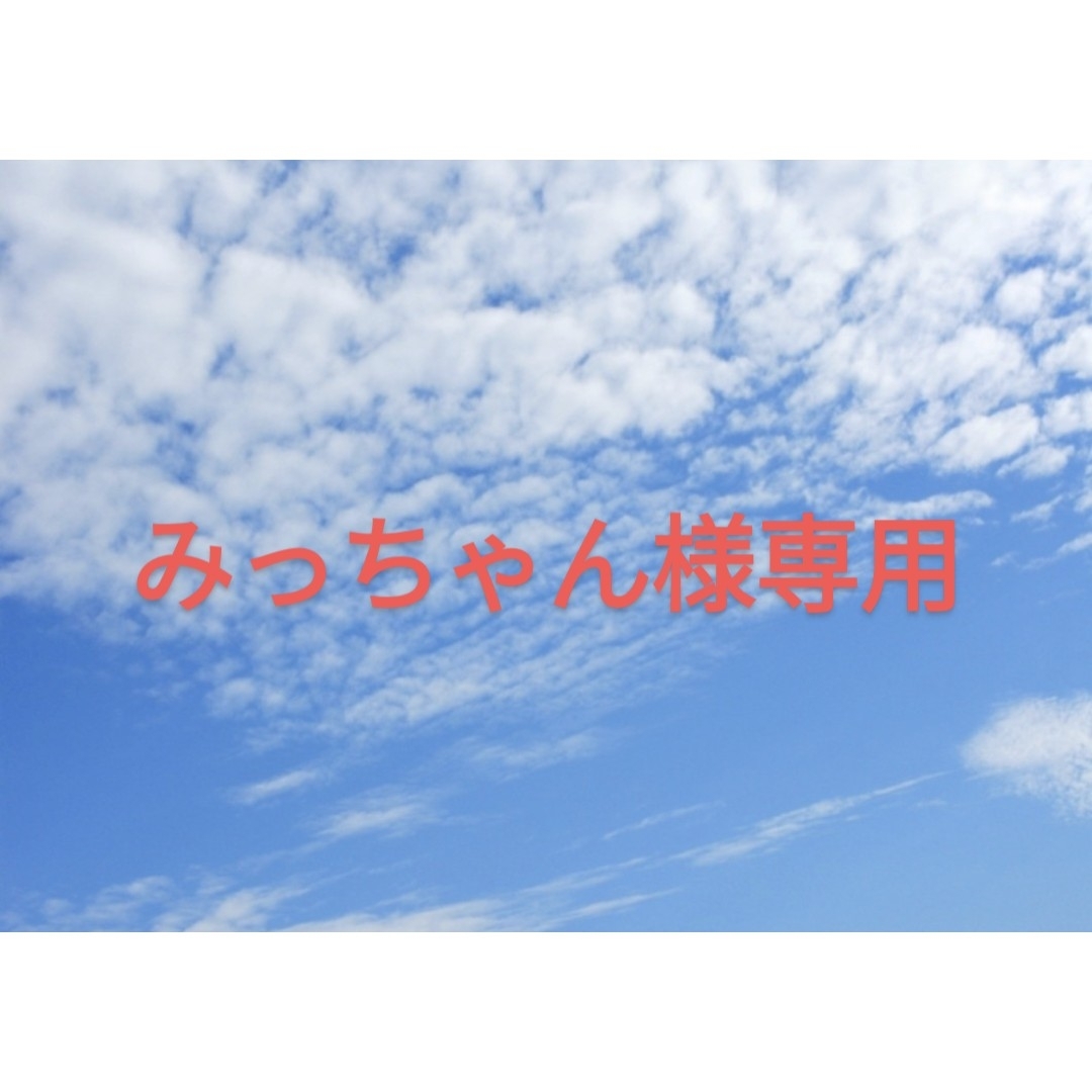 みっちゃん様専用 エンタメ/ホビーのフィギュア(特撮)の商品写真