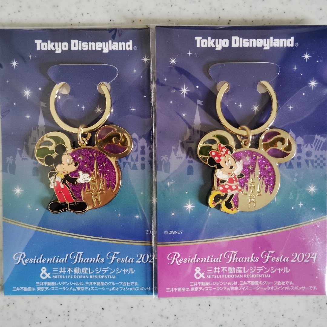 Disney(ディズニー)の東京ディズニーランド キーホルダー 2個セット エンタメ/ホビーのおもちゃ/ぬいぐるみ(キャラクターグッズ)の商品写真