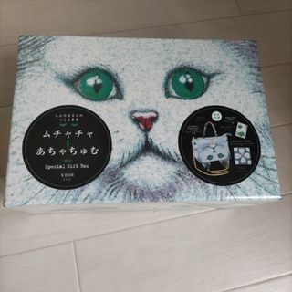 ahcahcum⇔muchacha｜あちゃちゅむ⇔ムチャチャ 猫 ネコ CAT
