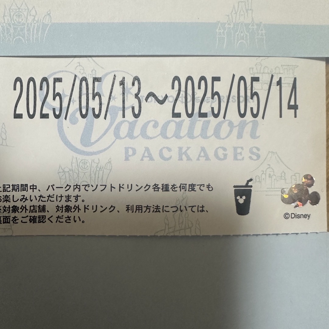 Disney(ディズニー)のバケパ フリードリンクチケット チケットの施設利用券(遊園地/テーマパーク)の商品写真