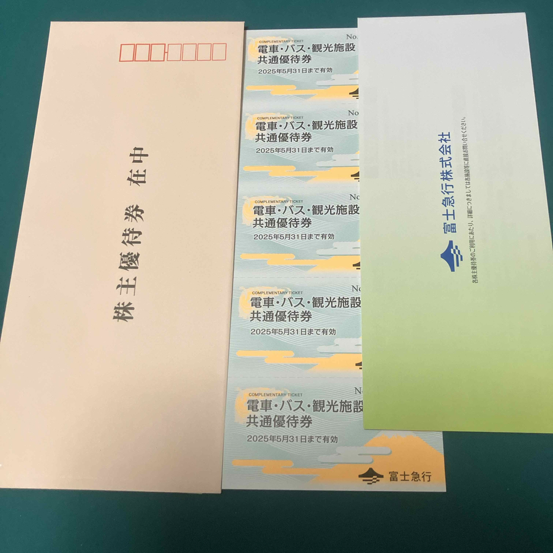 富士急行 株主優待 富士急ハイランド チケットの施設利用券(遊園地/テーマパーク)の商品写真