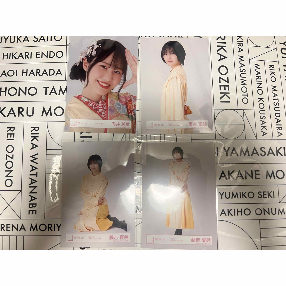 櫻坂46(サクラザカフォーティシックス)の櫻坂46 生写真 藤吉夏鈴 向井純葉 エンタメ/ホビーのタレントグッズ(アイドルグッズ)の商品写真