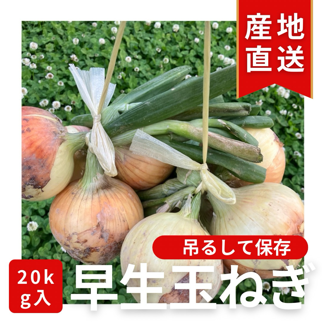 吊るして保存‼️今年も販売‼️玉ねぎ20kg入‼️