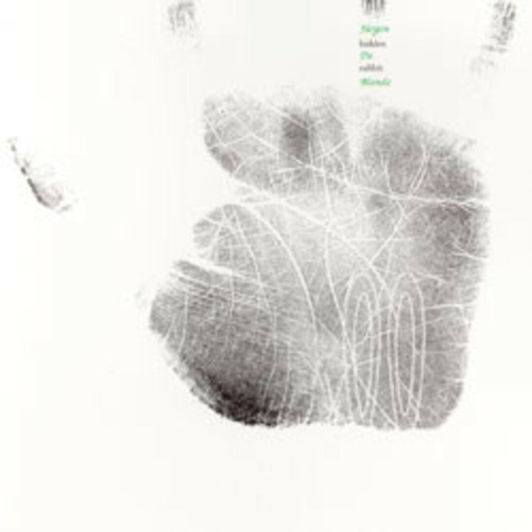 独CD J?rgen De Blonde Hidden Rabbit TOM10 Tomlab /00110 エンタメ/ホビーのCD(クラブ/ダンス)の商品写真