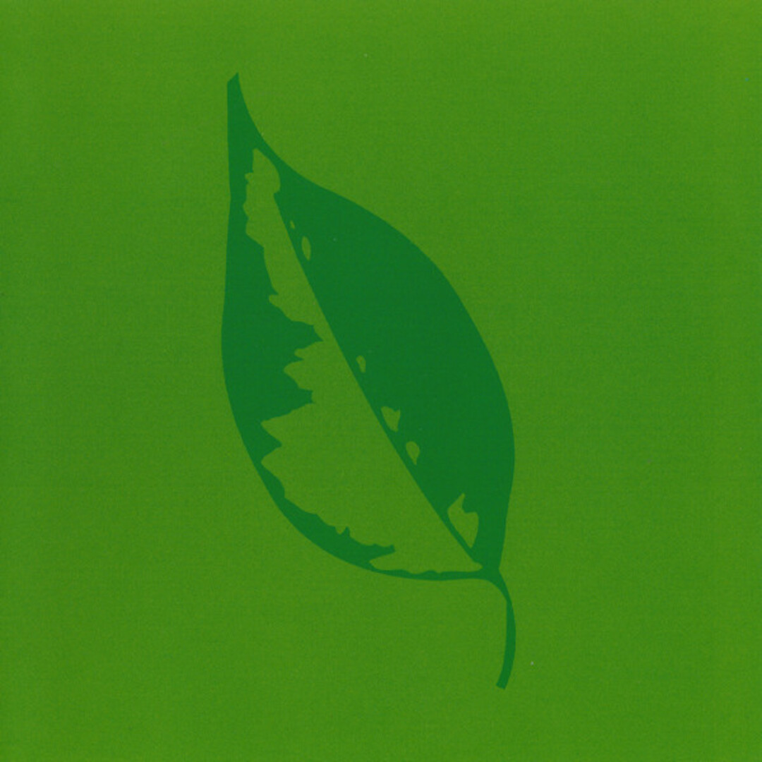独CD Rafael Toral Cyclorama Lift 3 TOM007 Tomlab /00110 エンタメ/ホビーのCD(クラブ/ダンス)の商品写真