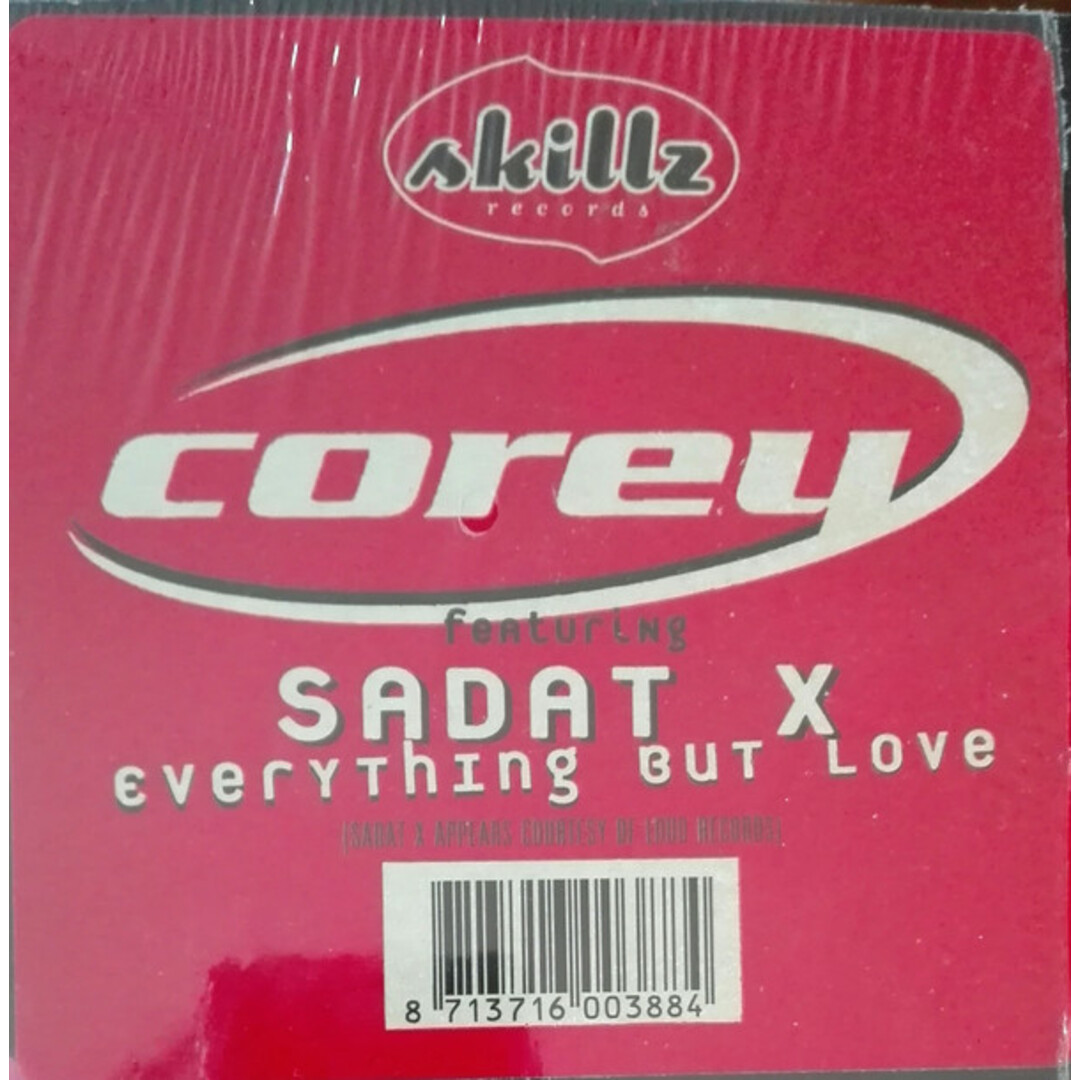 米12" Corey, Sadat X Everything But Love SK0001 Skillz Records /00250 エンタメ/ホビーのエンタメ その他(その他)の商品写真