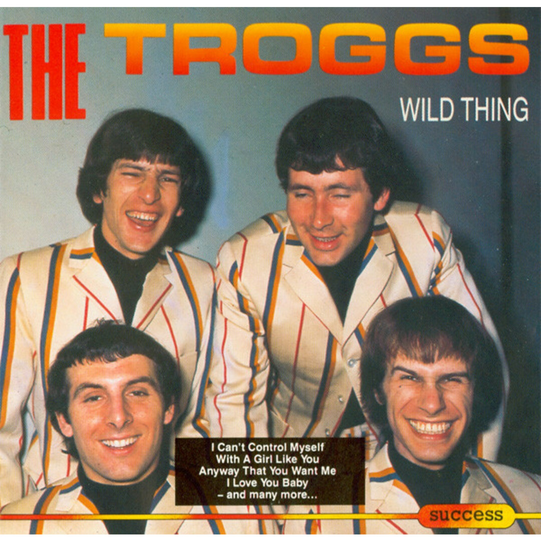 欧CD Troggs Wild Thing 2191CD Success /00110 エンタメ/ホビーのCD(ポップス/ロック(洋楽))の商品写真